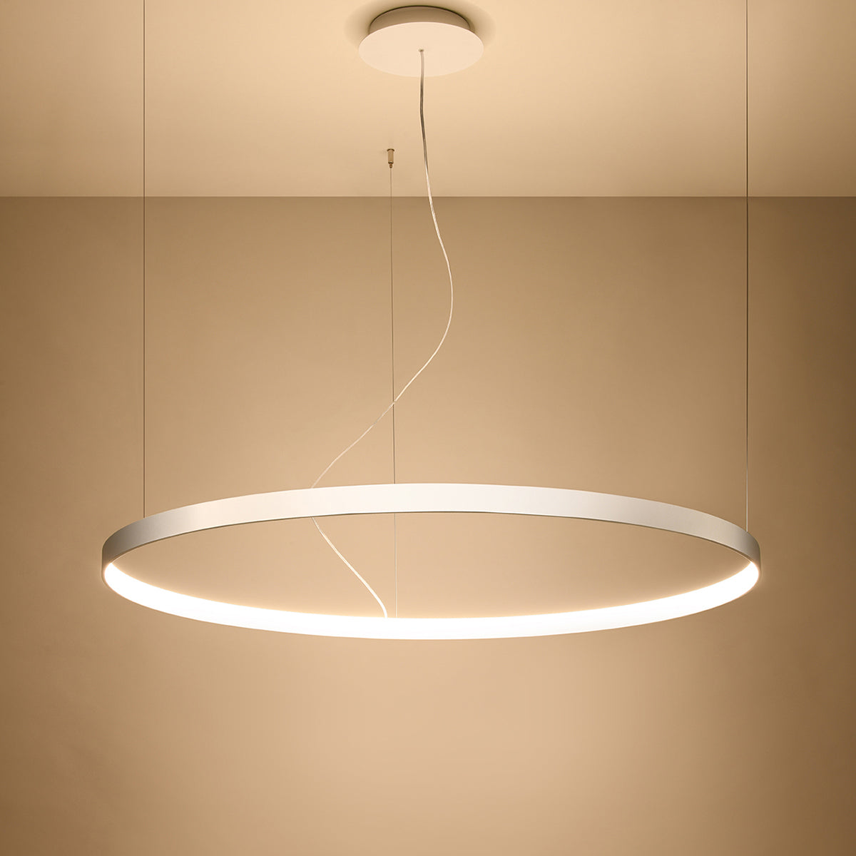 Aurelia — Single-Halo LED Pendant Chandelier in Brushed Steel